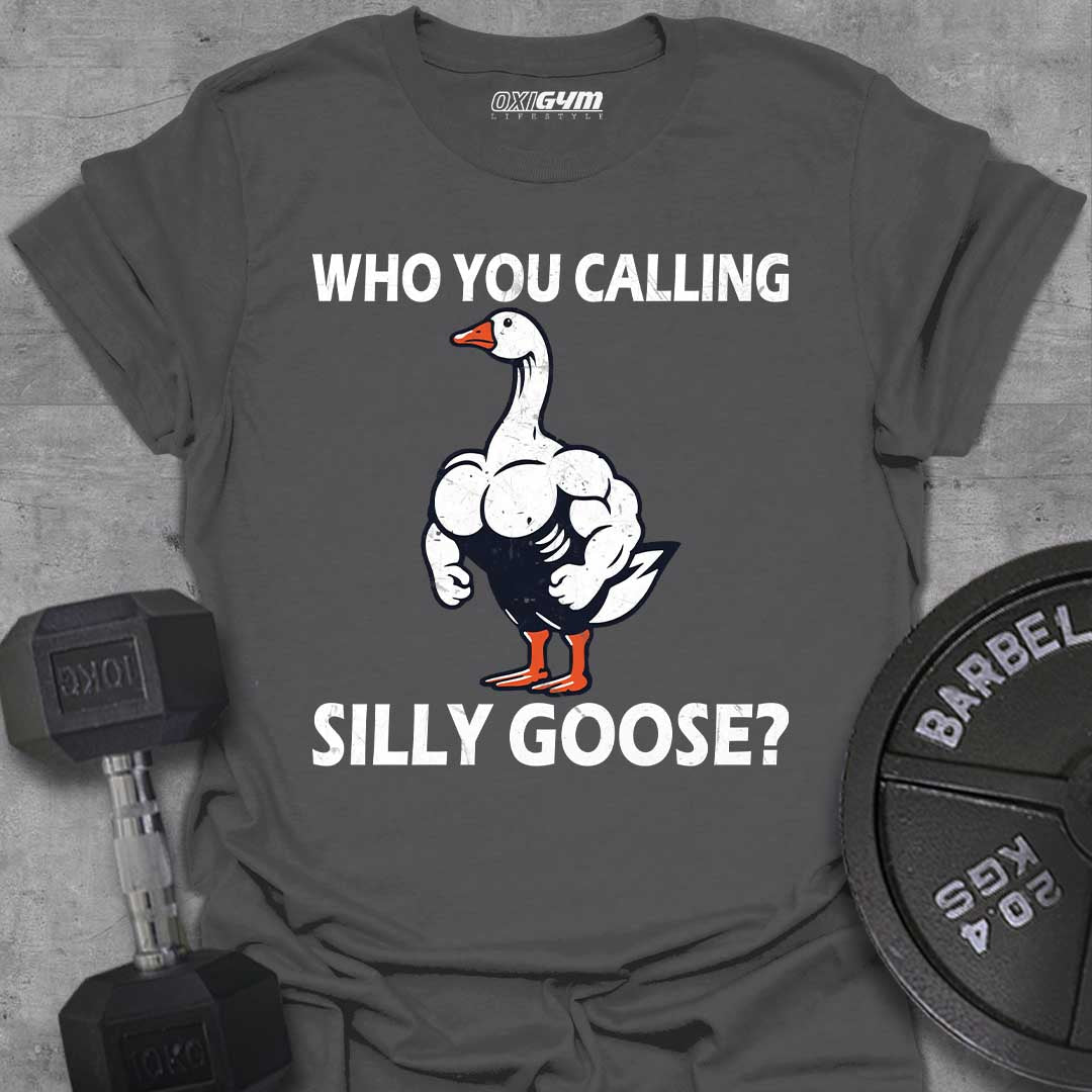 Who You Calling Silly Goose