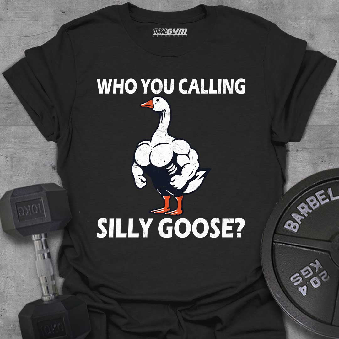 Who You Calling Silly Goose