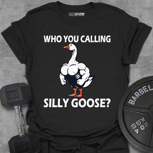 Who You Calling Silly Goose