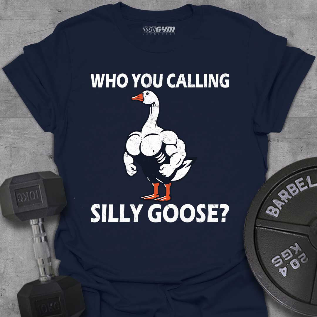 Who You Calling Silly Goose