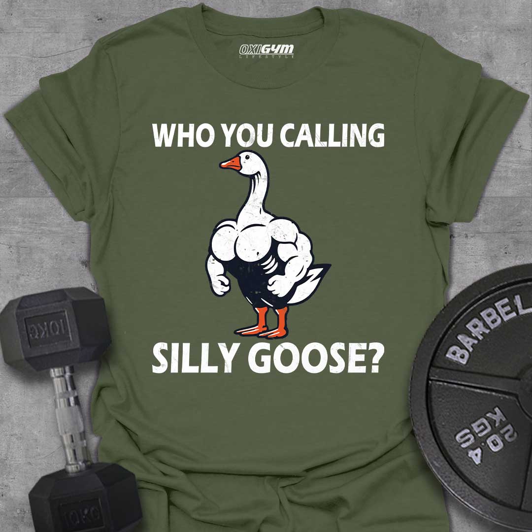 Who You Calling Silly Goose